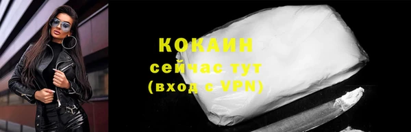индика Михайлов