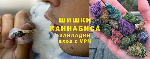 индика Михайлов