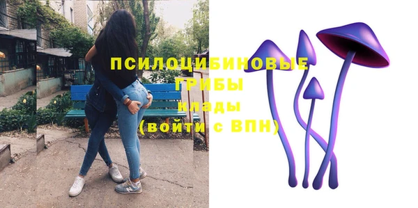 индика Михайлов