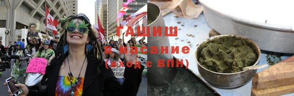 индика Михайлов