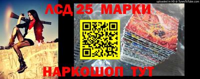 стафф Гай