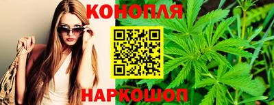 стафф Гай