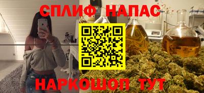 стафф Гай