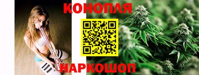 стафф Гай
