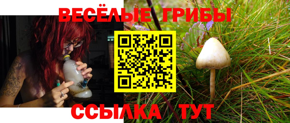 Галлюциногенные грибы Psilocybine cubensis  Алексеевка 