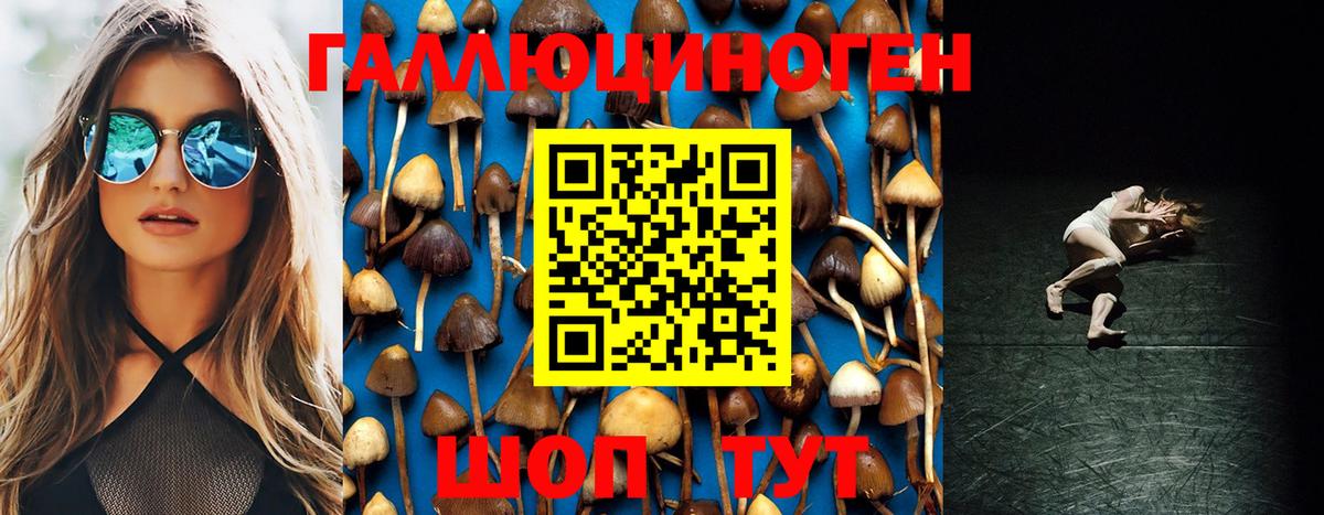 Алексеевка  Галлюциногенные грибы Psilocybine cubensis  Вход с VPN 