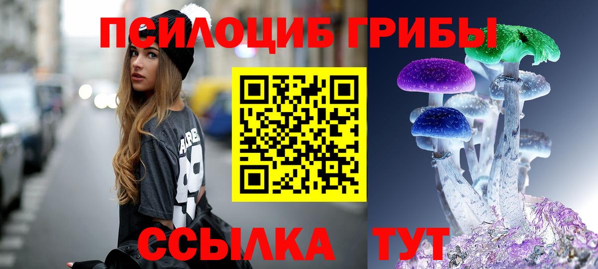 Псилоцибиновые грибы ЛСД Алексеевка