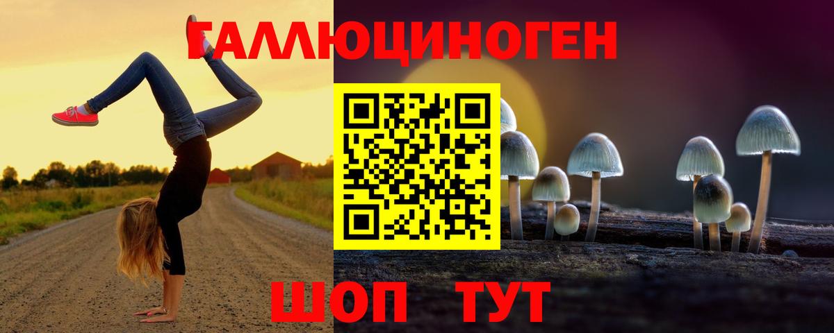 Алексеевка  Псилоцибиновые грибы MAGIC MUSHROOMS  где найти наркотики  Вход с VPN 