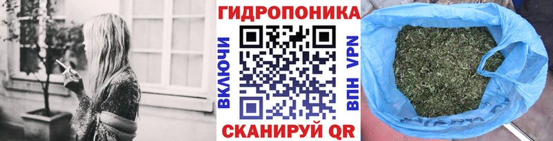 Шишки марихуана ГИДРОПОН  наркотики  Алексеевка 